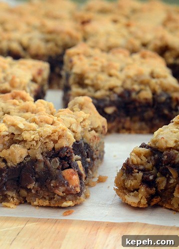 Chocolate Peanut Butter Revel Bars