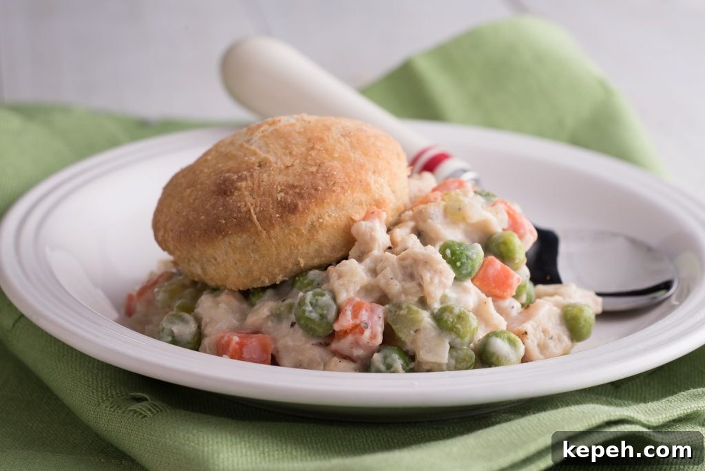 7 Savory Winter Pies to Warm Your Dinner Table 2 Chicken or Turkey Pot Pie