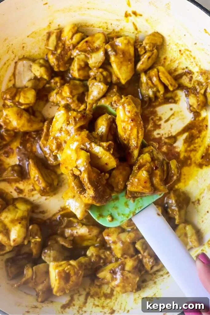 Cooked, spiced chicken pieces on a rubber spatula.