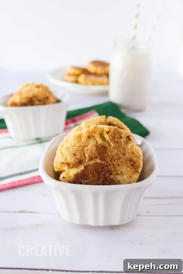 17 Keto Christmas Cookie Recipes for Low-Carb Holiday Treats 8 Snickerdoodles