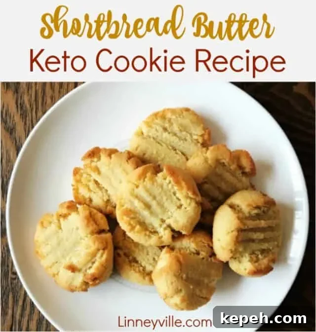 17 Keto Christmas Cookie Recipes for Low-Carb Holiday Treats 12 Shortbread Butter Cookies
