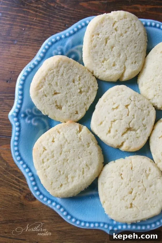 17 Keto Christmas Cookie Recipes for Low-Carb Holiday Treats 13 Refrigerator Cookies