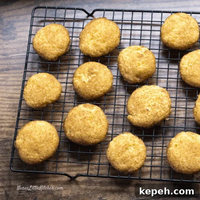 17 Keto Christmas Cookie Recipes for Low-Carb Holiday Treats 14 Snickerdoodles variation