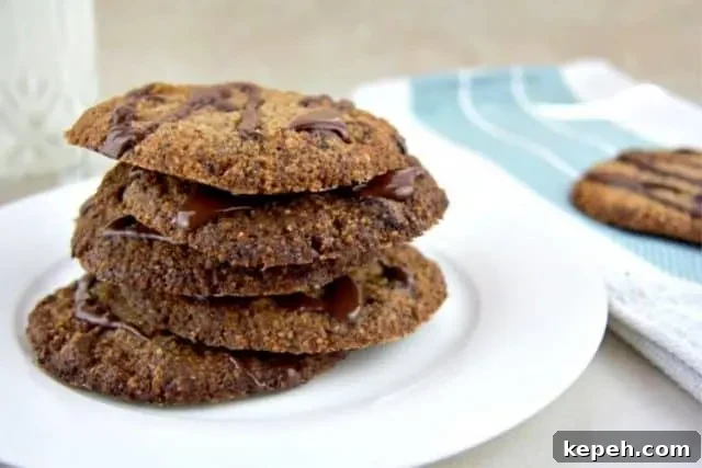 17 Keto Christmas Cookie Recipes for Low-Carb Holiday Treats 17 Hazelnut Chocolate Chip Cookies