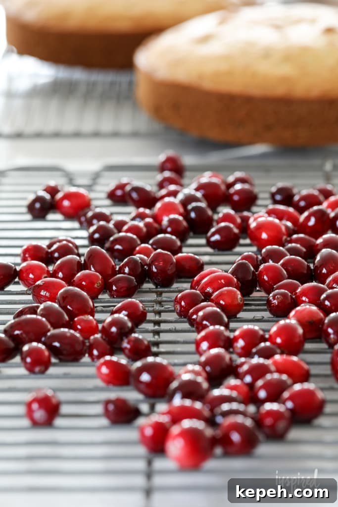 Black Walnut Christmas Cake Recipe with Spiced Glaze 12 Sugared cranberries