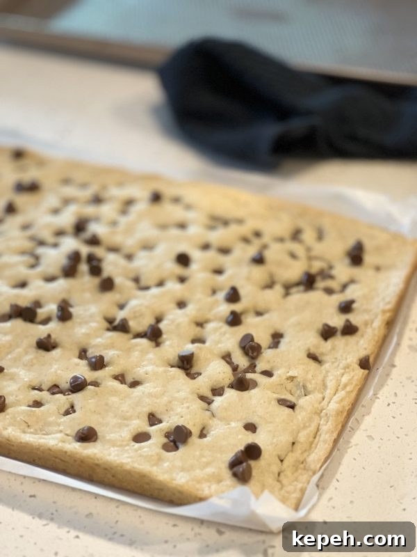 Sheet Pan Blondie Bars Sheet Pan Blondie Bars