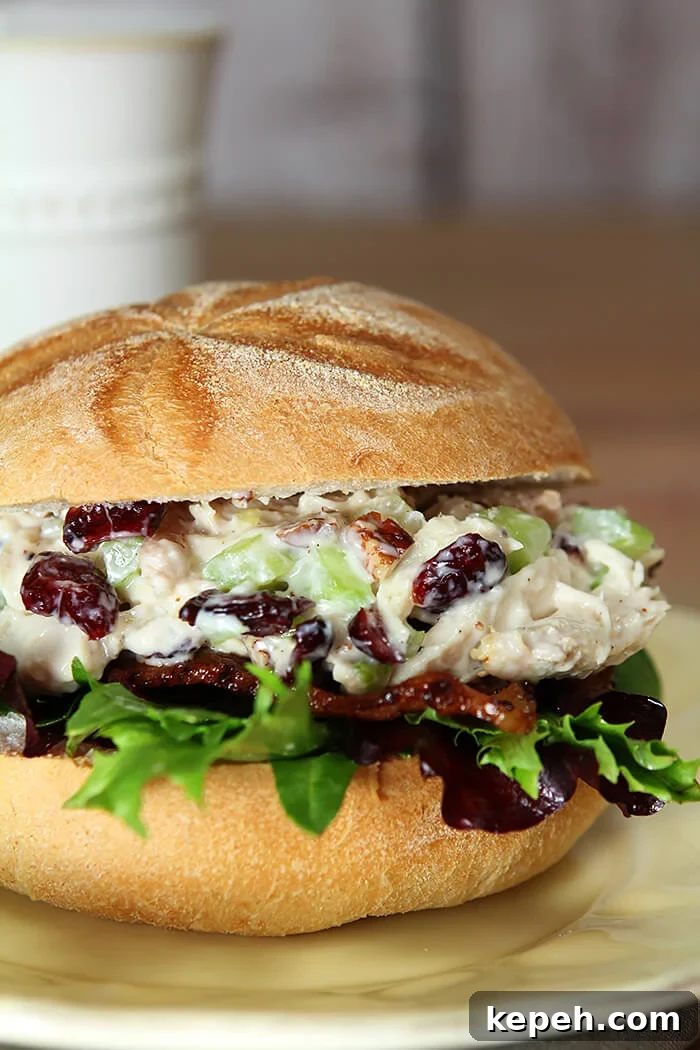 Marshall Field’s Famous Chicken Salad Recipe 3 Marshall Field's Chicken Salad Sandwich