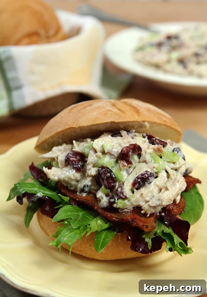 Marshall Field’s Famous Chicken Salad Recipe 5 Marshall Field's Chicken Salad Sandwich
