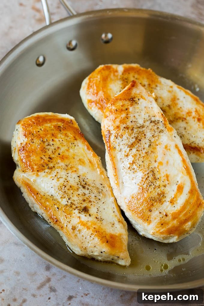 Seared chicken breasts in a pan. Seared chicken breasts in a pan.