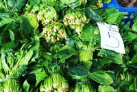 Picture-Perfect Packaged Spinach