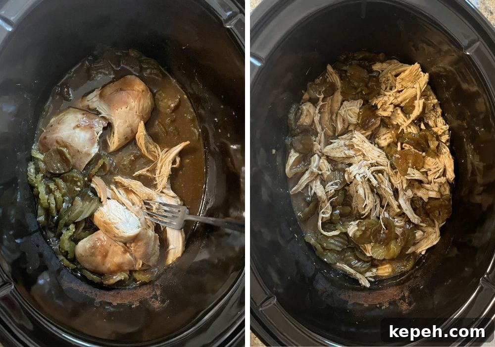 two photos; one shows chicken breasts being shredded with a fork in a crock pot; the other shows the shredded chicken and dill pickles in a savory broth.