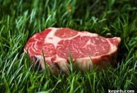 Is Grass-Fed Meat Necessary? What You Need to Know
