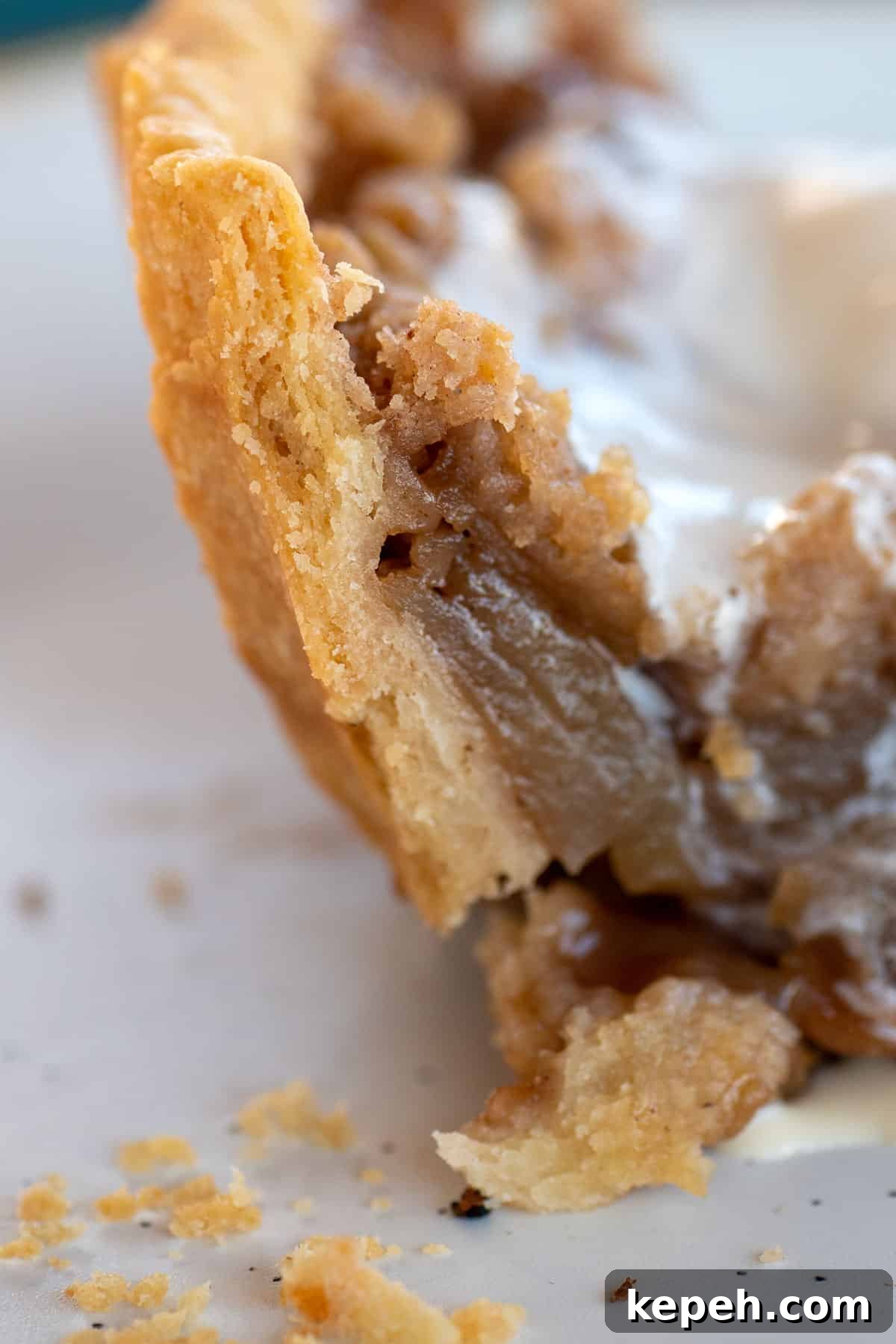Flaky Pie Crust Recipe for Sweet and Savory Pies 3 closeup of flaky crust.