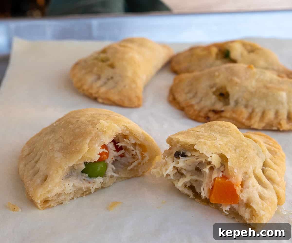 Flaky Pie Crust Recipe for Sweet and Savory Pies 10 flaky chicken hand pies.