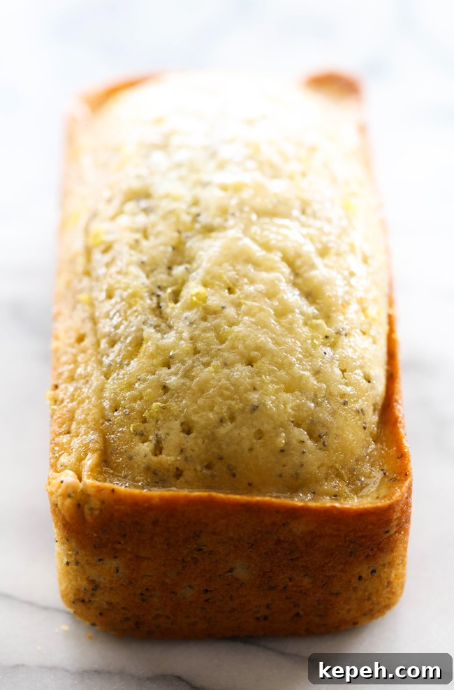 This Lemon Poppy Seed Bread is so moist and the flavor is unbelievably delicious! With it's subtle yet refreshing lemon taste, this will be one quick bread you want to make over and over again!