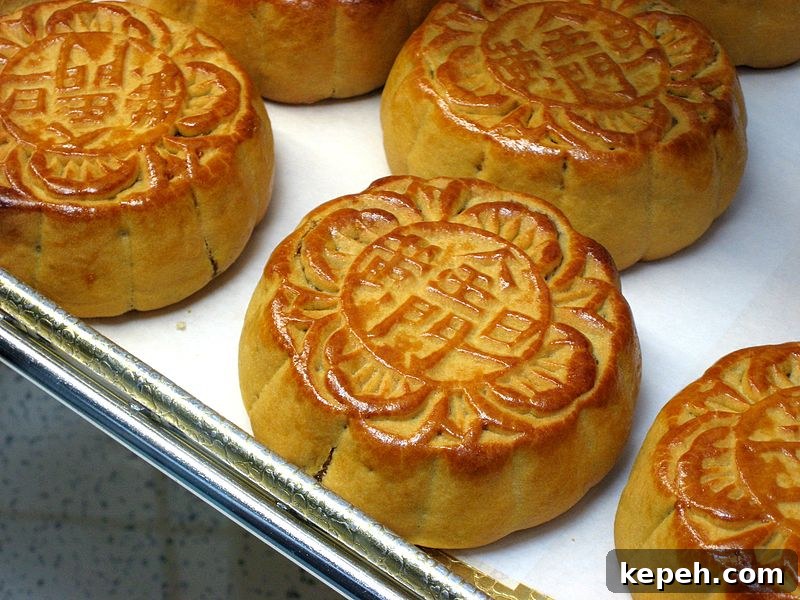Mooncake4 Mooncakes