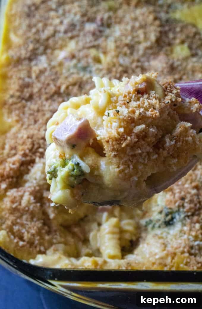 Cheesy Ham and Broccoli Pasta Bake — Weeknight Dinner Recipe 2 Broccoli Ham and Cheese Casserole