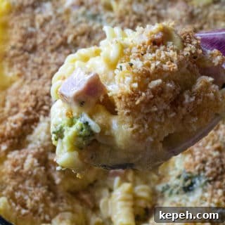 Cheesy Ham and Broccoli Pasta Bake — Weeknight Dinner Recipe 6 Broccoli Ham and Cheese Casserole