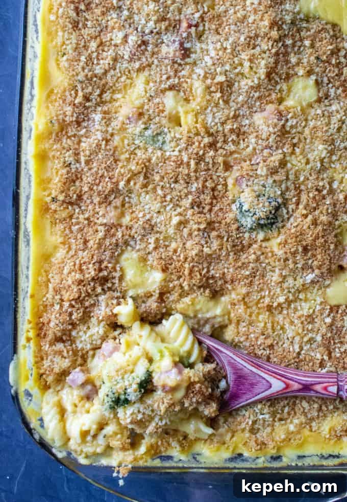 Cheesy Ham and Broccoli Pasta Bake — Weeknight Dinner Recipe 5 Broccoli Ham and Cheese Casserole is a classic family favorite.