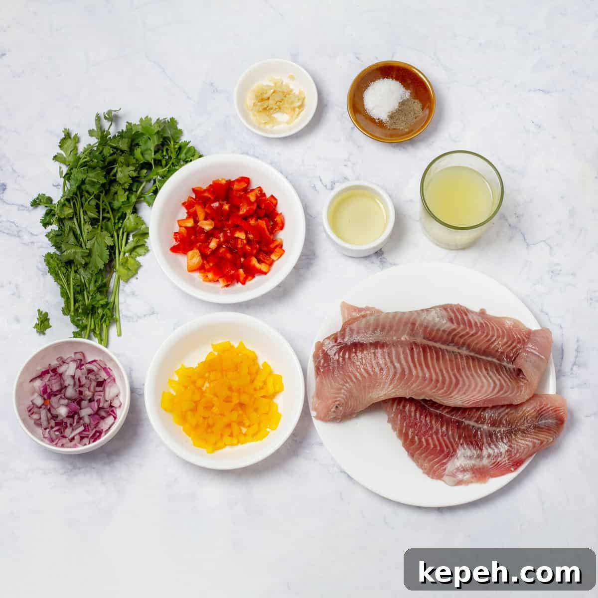 Low-Calorie Ceviche Recipe with WW Points Guide 3 Ceviche Ingredients