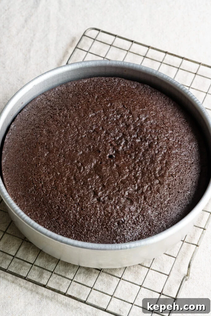 Baked chocolate cake inside a round cake pan on wire rack.