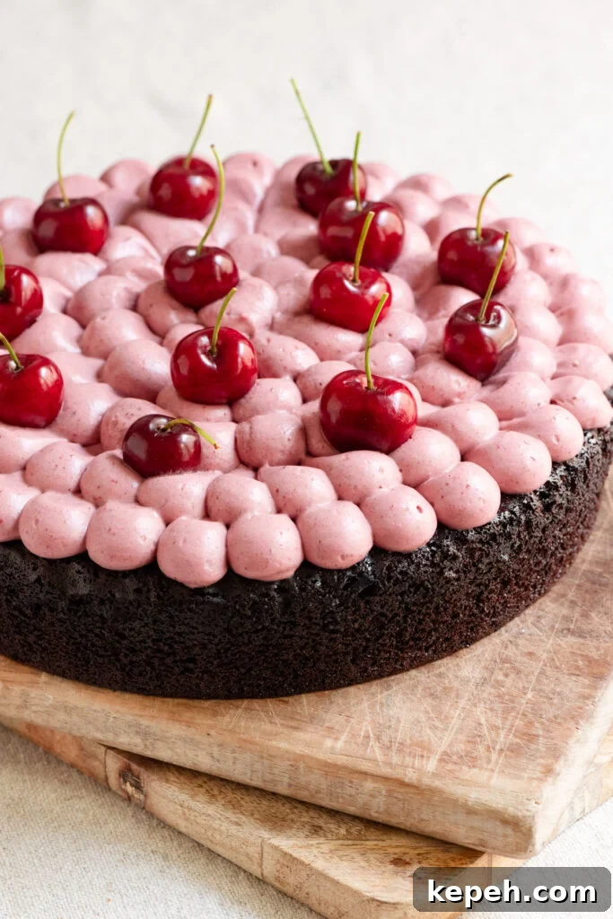 Chocolate cake topped with whipped cherry ganache frosting and fresh cherries.