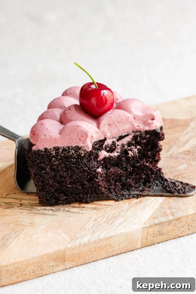 Partially eaten slice of chocolate olive oil cake with cherries.