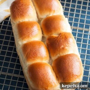 Soft Milk Bread Recipe Without Eggs or Tangzhong 2 A loaf of Japanese milk bread on a wire rack.