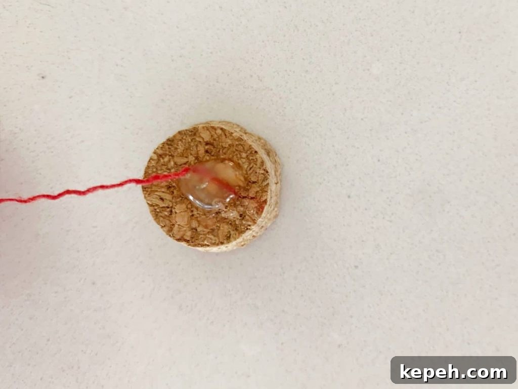 a cork with string glued to it