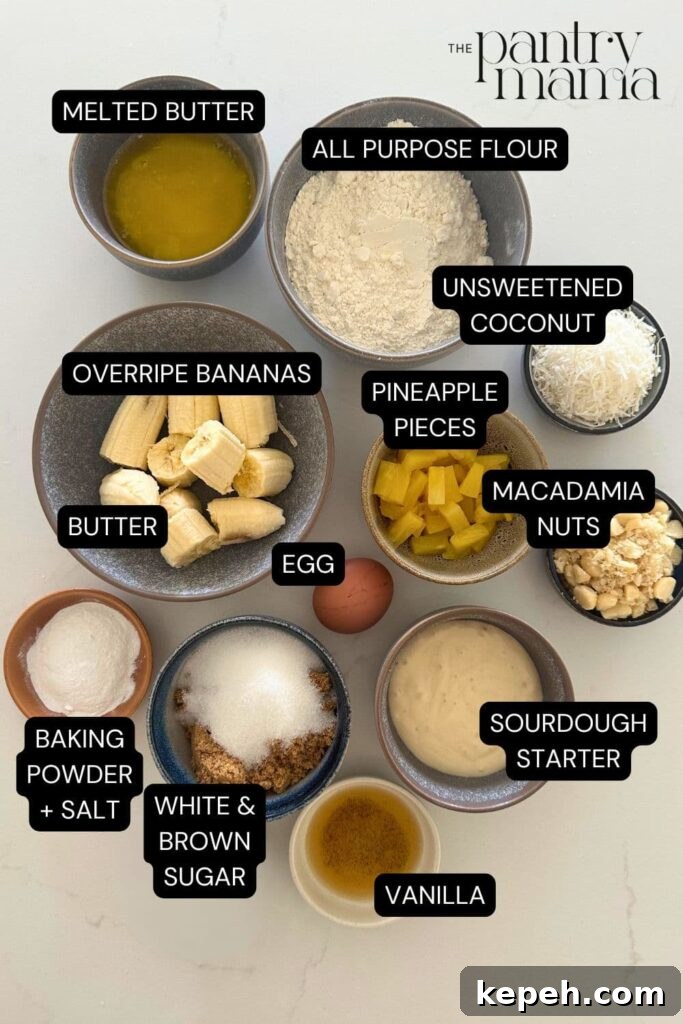 Sourdough Banana Bread with Hawaiian-Style Sweetness 4 Flat lay of ingredients necessary to make sourdough Hawaiian banana bread.