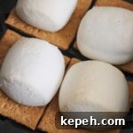 Golden brown marshmallows on graham crackers.