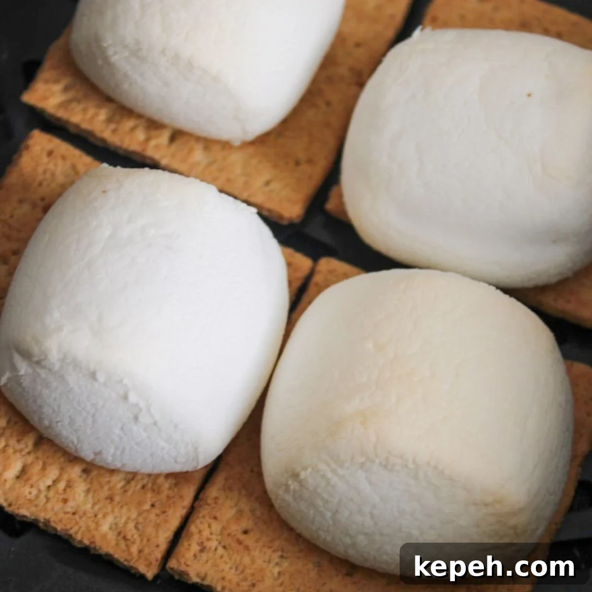 Golden brown marshmallows on graham crackers.