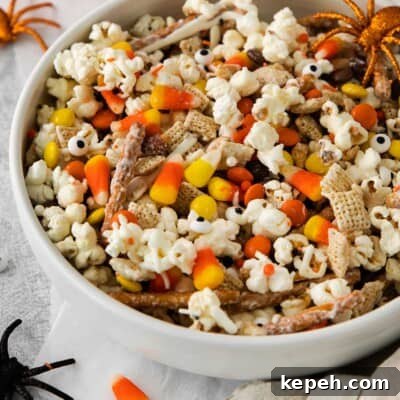 Spooky Halloween Snack Mix Recipes for Party Treats 14 Halloween snack mix in a white bowl with spider decorations