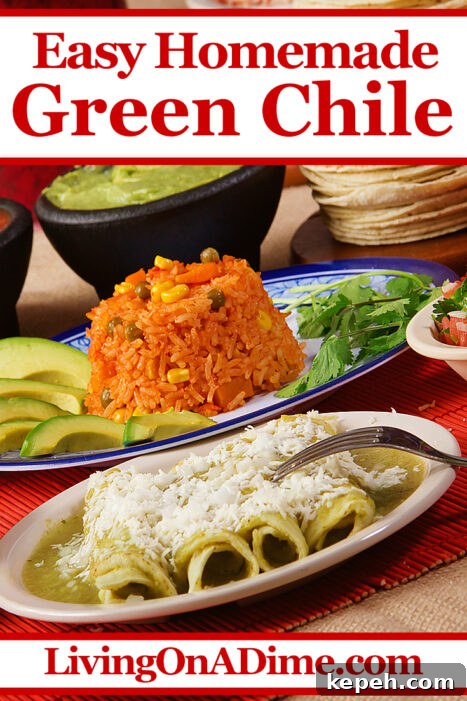 This easy green chile recipe makes a light tasty meal when eaten with tortillas, but can also be used to top a lot of different Mexican themed dishes! It's super delicious!