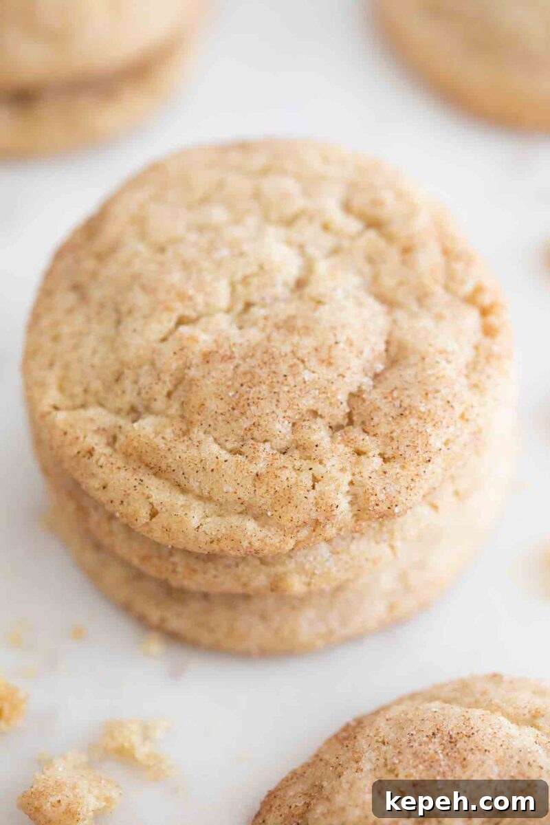 Vegan Snickerdoodle Cookies: Soft Cinnamon Recipe 2 Photo of a pile of vegan snickerdoodles