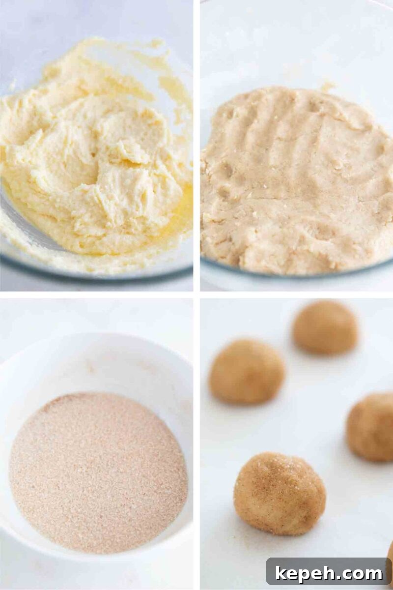 Vegan Snickerdoodle Cookies: Soft Cinnamon Recipe 4 Step-by-step photos of how to make vegan snickerdoodles