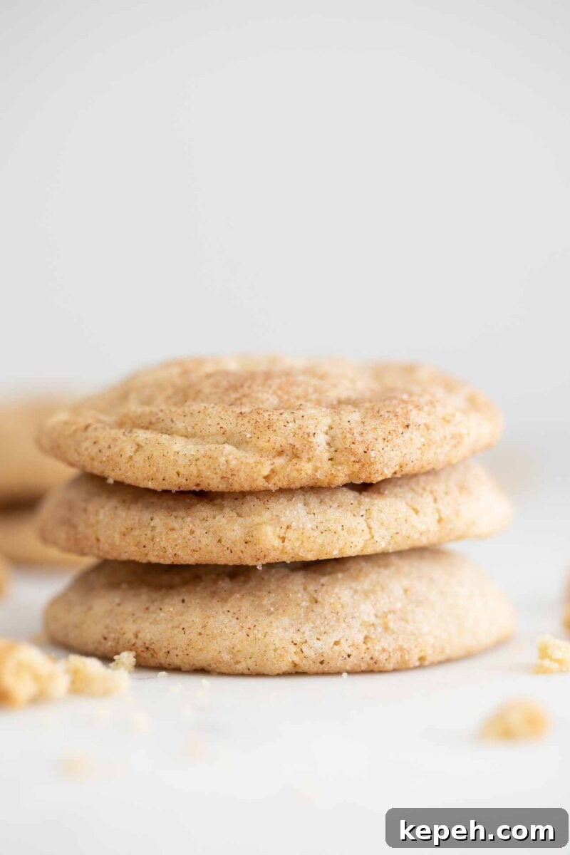 Vegan Snickerdoodle Cookies: Soft Cinnamon Recipe 5 Side photo of a pile of vegan snickerdoodles