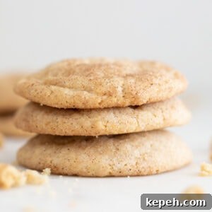Vegan Snickerdoodle Cookies: Soft Cinnamon Recipe 6 Square photo of a pile of vegan snickerdoodles