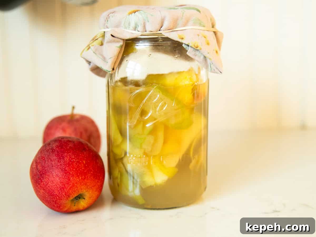 Homemade Apple Cider Vinegar Recipe for DIY Fermentation 11 A jar of homemade apple cider vinegar with apples next to it.