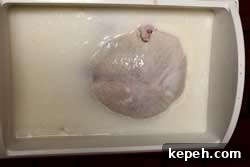 Turkey in buttermilk brine