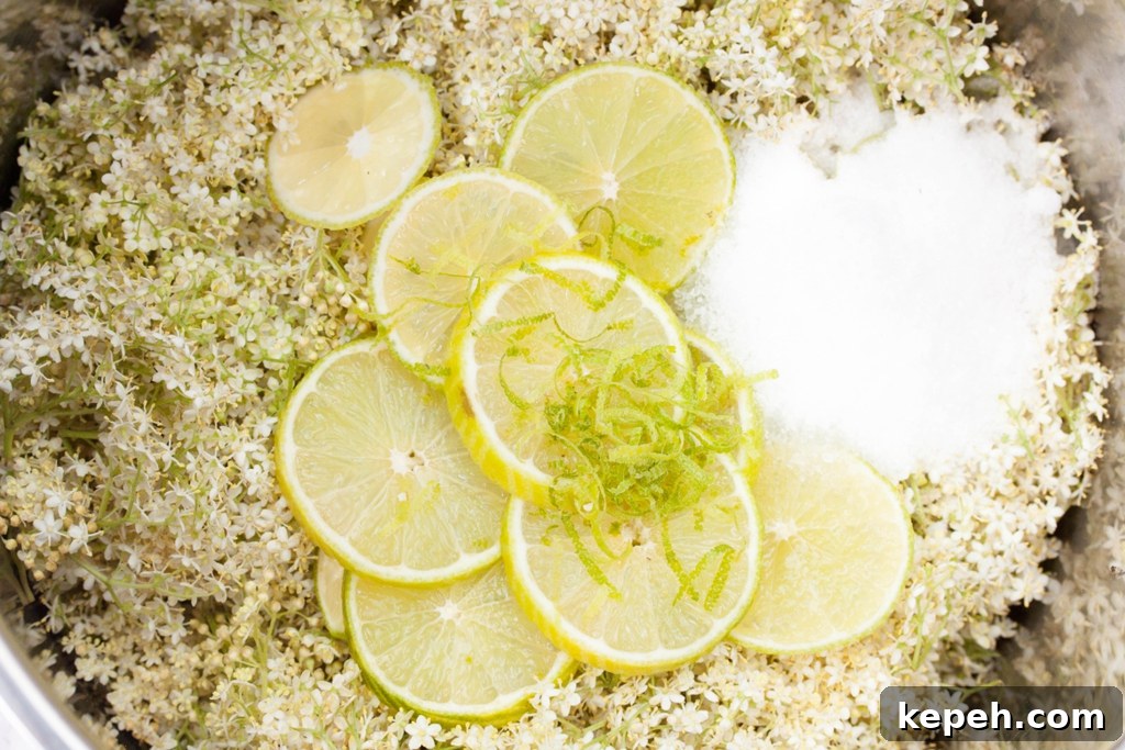 Lime & Elderflower Cordial Recipe – Homemade Sparkling Syrup 4 Lime and Elderflower Cordial