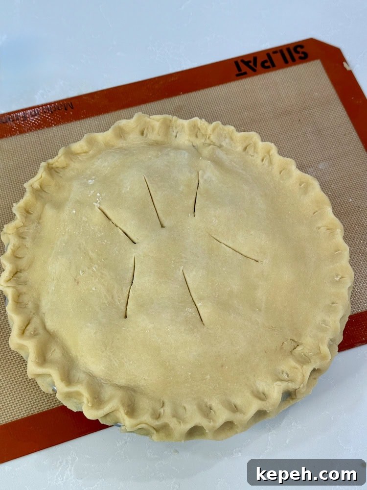 Strawberry Rhubarb Pie Recipe: Sweet-Tart Summer Dessert 12 unbaked strawberry and rhubarb pie with vent slits