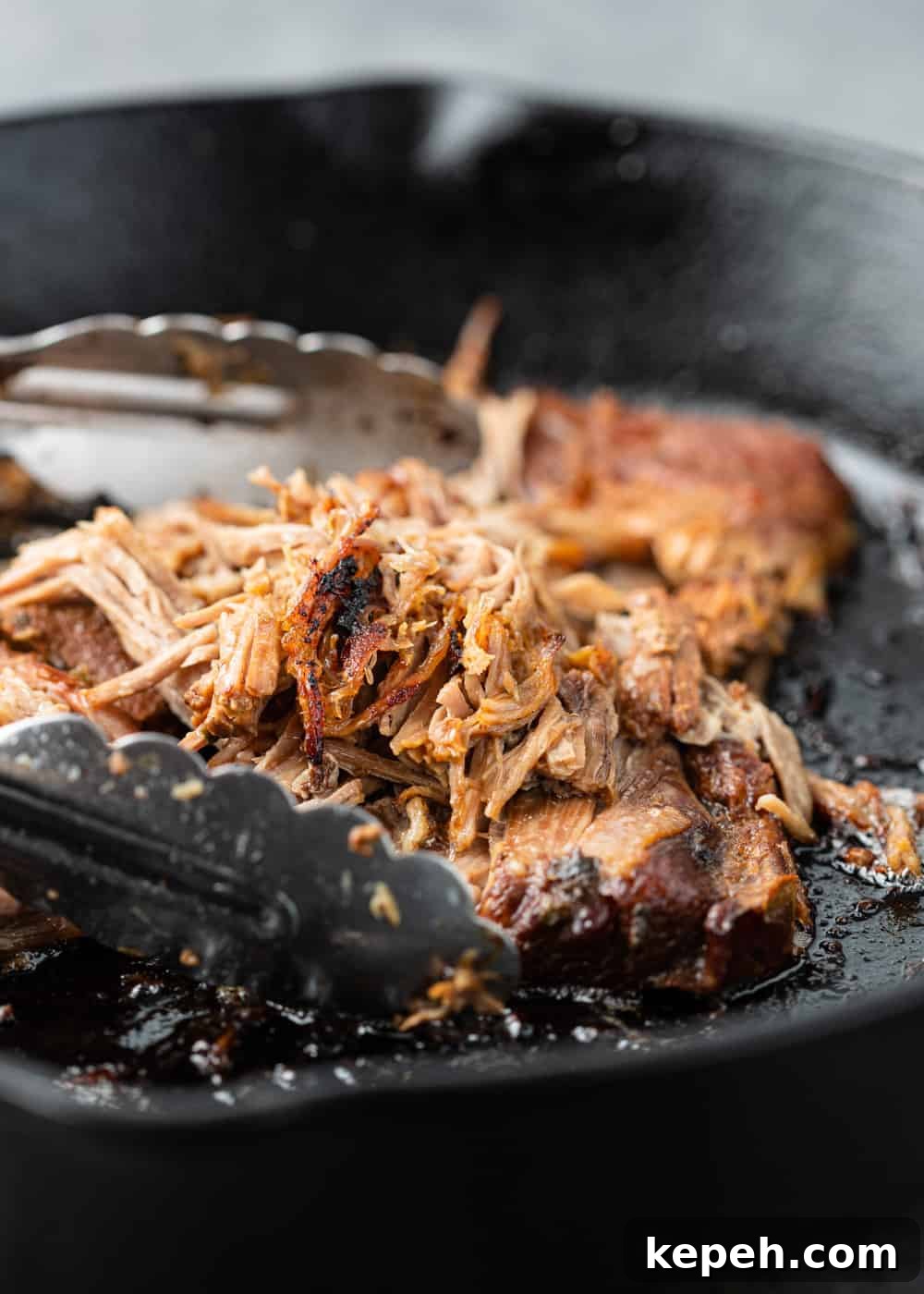 pan fried carnitas