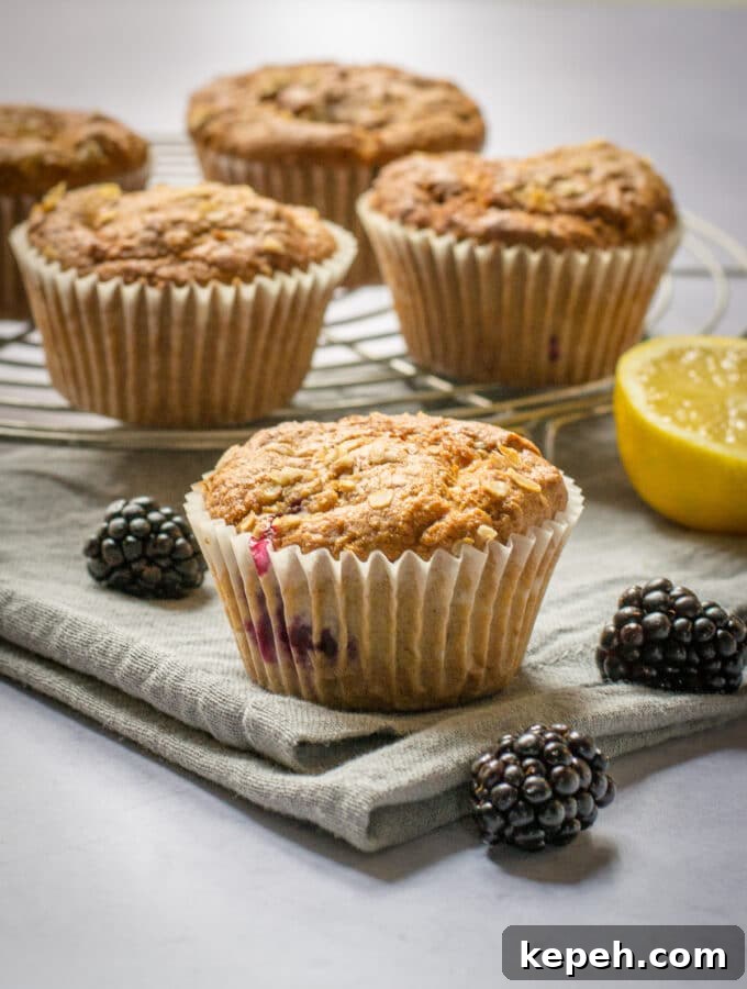 Beetroot & Berry Vegan Energy Bars — Protein-Packed Snack 8 Vegan Blackberry Muffins