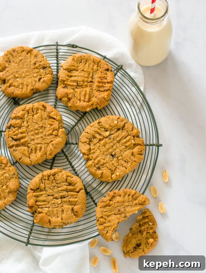 Beetroot & Berry Vegan Energy Bars — Protein-Packed Snack 9 Vegan Peanut Butter Cookies