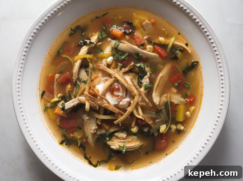 Hearty Chicken Tortilla Soup Recipe for Cozy Weeknights 2 1.1.16 - Tortilla soup-9