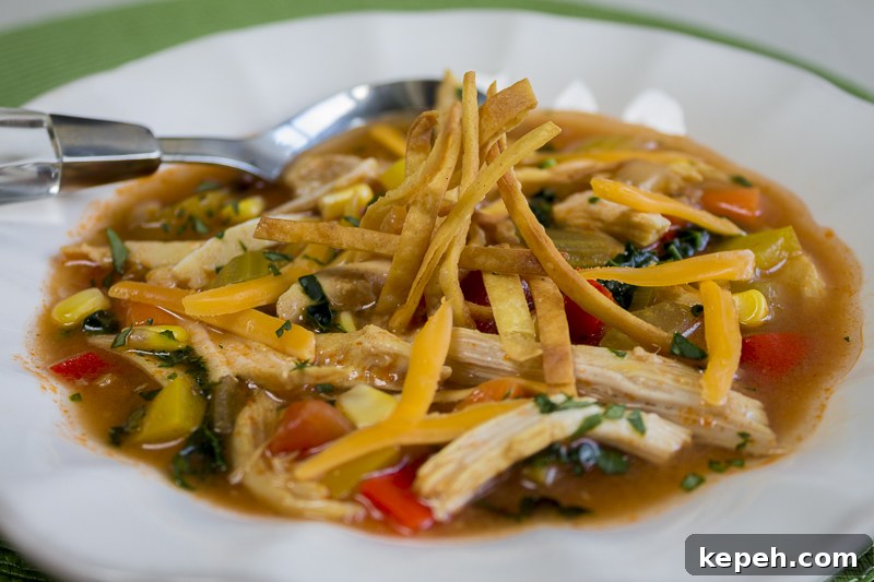 Hearty Chicken Tortilla Soup Recipe for Cozy Weeknights 3 Chock-filled with delicious ingredients - a satisfying soup with a spicy kick