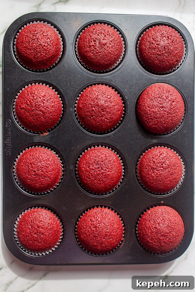 Decadent Red Velvet Cupcakes Recipe for Perfect Moist Cakes 6 red velvet cupcakes before icing