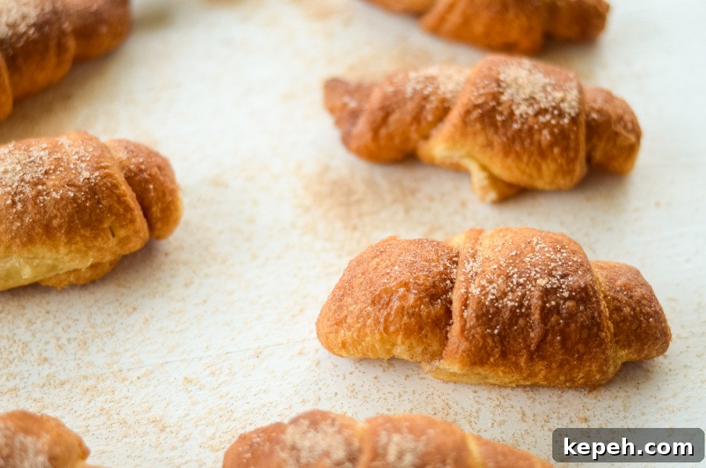 air fryer cinnamon sugar crescent rolls