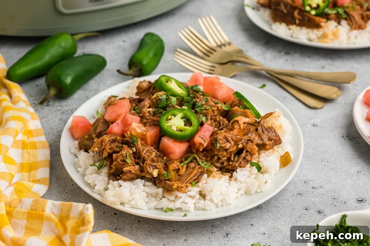 Cafe Rio Sweet Pork Recipe: Copycat Carnitas with Tangy Sauce 8 plate of shredded cafe rio sweet pork on a bed of rice.